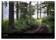 Thumbnail-12
