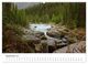 Thumbnail-14