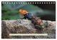 Thumbnail-13
