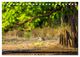 Thumbnail-4