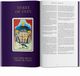 Thumbnail-2