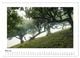 Thumbnail-10