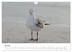 Thumbnail-9