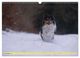 Thumbnail-14