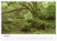 Thumbnail-12