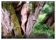 Thumbnail-13
