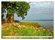 Thumbnail-11