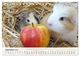Thumbnail-14