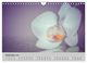 Thumbnail-11