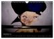 Thumbnail-13