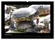 Thumbnail-14