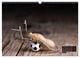 Thumbnail-8