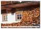 Thumbnail-11