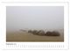 Thumbnail-14