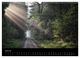 Thumbnail-12