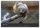 Thumbnail-12