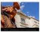 Thumbnail-2