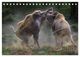 Thumbnail-10