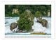 Thumbnail-11