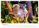 Thumbnail-11