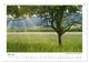 Thumbnail-11