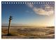Thumbnail-11