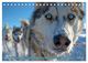 Thumbnail-14