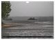 Thumbnail-13
