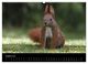 Thumbnail-12