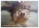 Thumbnail-13