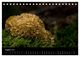Thumbnail-10