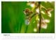 Thumbnail-10