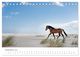 Thumbnail-14