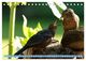 Thumbnail-11
