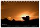 Thumbnail-10