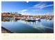 Thumbnail-8