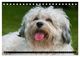 Thumbnail-10