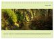 Thumbnail-10