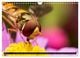 Thumbnail-9