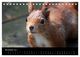 Thumbnail-13