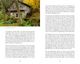 Thumbnail-12