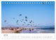 Thumbnail-12