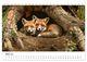Thumbnail-8