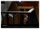 Thumbnail-13