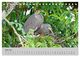 Thumbnail-11