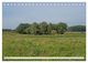 Thumbnail-11