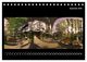 Thumbnail-11