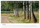 Thumbnail-12