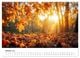 Thumbnail-12