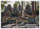 Thumbnail-11